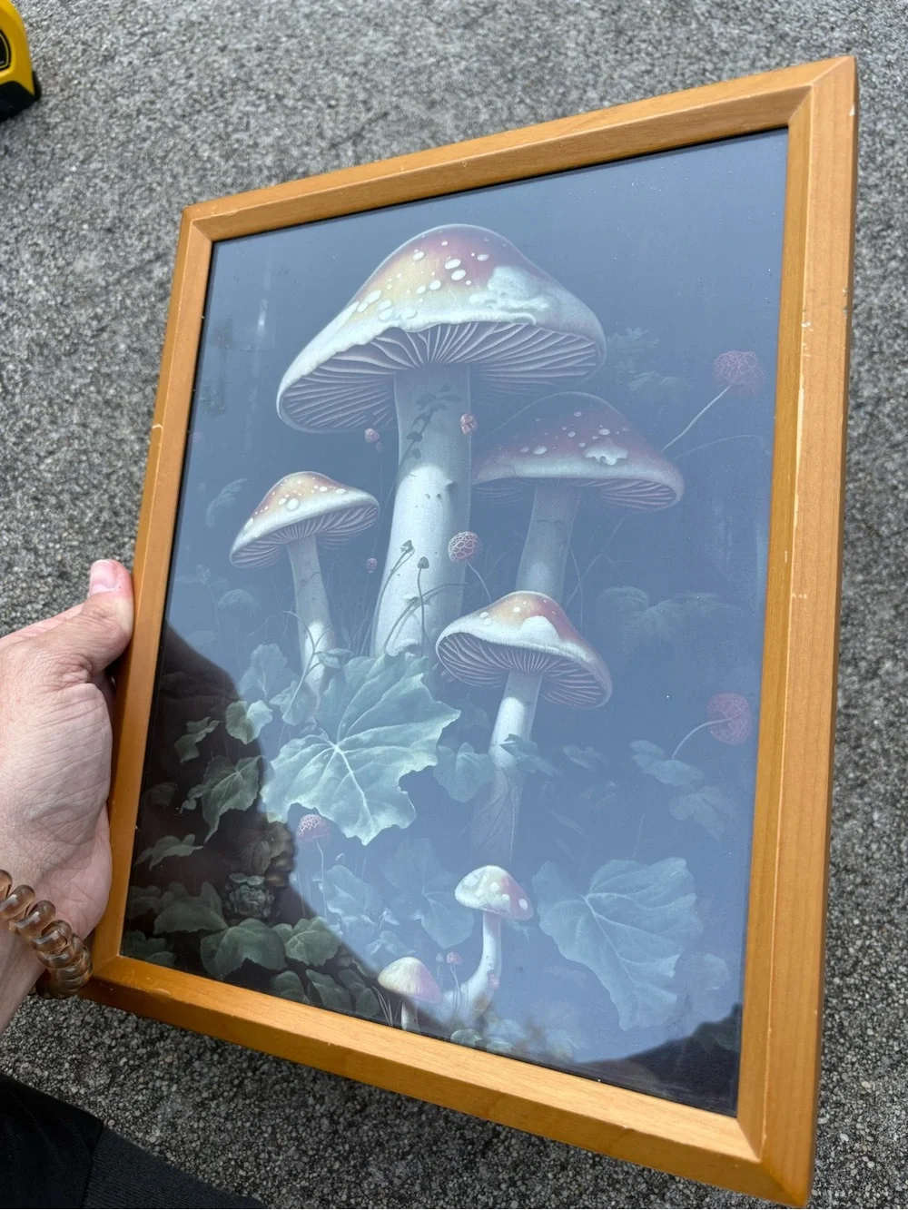 Vintage framed art print dark woodland scene dominated by large red mushrooms - Picture 2 of 11